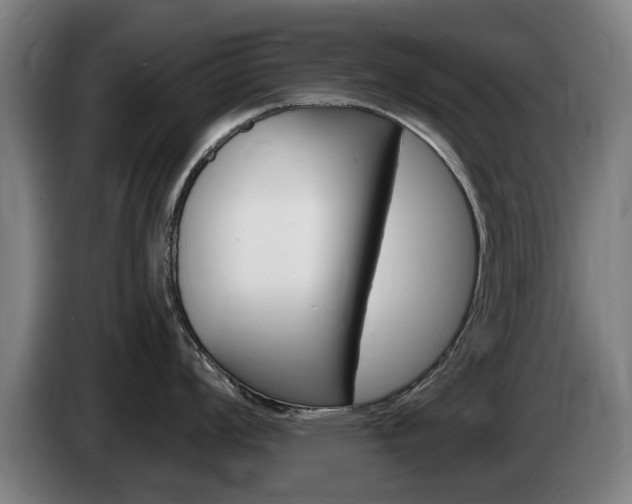 X0000085221008200703090824