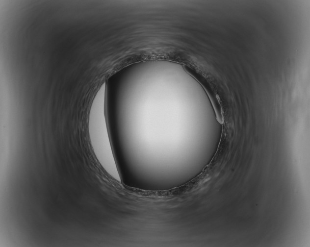 X0000085221010200703090823