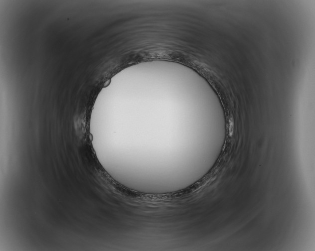 X0000085221011200703090823