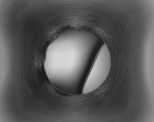 X0000085221012200703090823