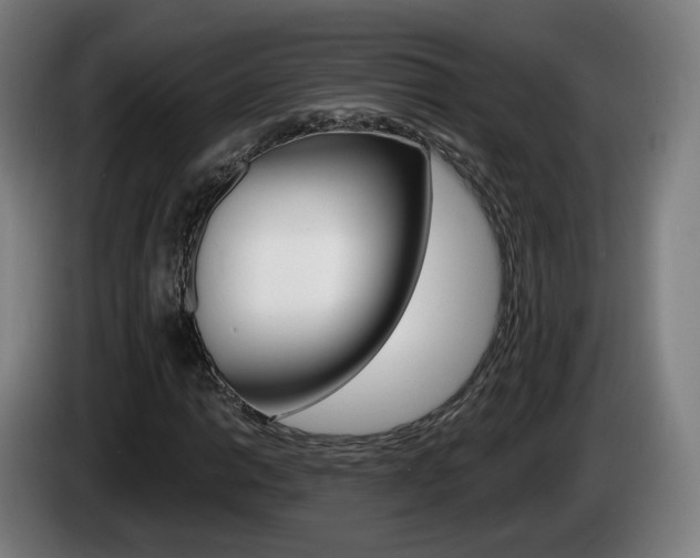 X0000085221014200703090823