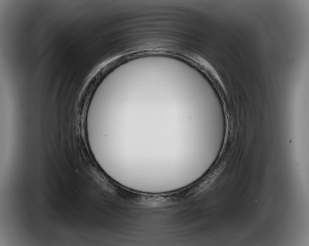 X0000085221019200703090823
