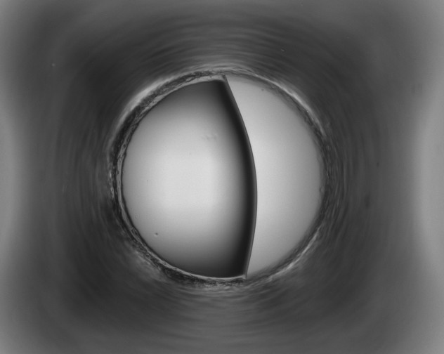 X0000085221022200703090823