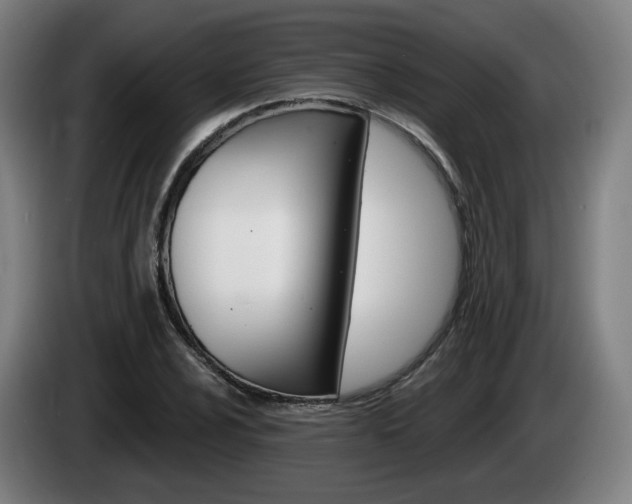 X0000085221024200703090823