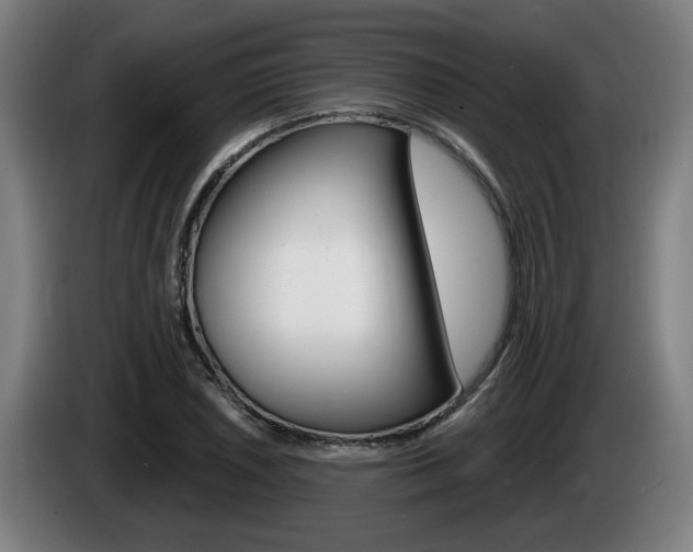 X0000085221026200703090823