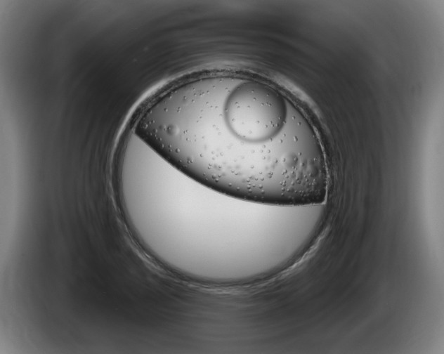 X0000085221029200703090823