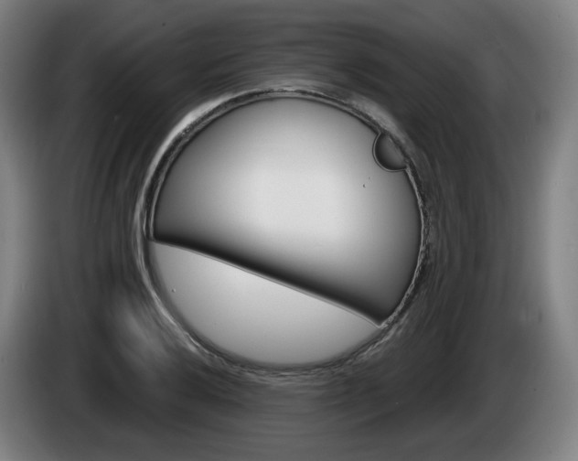 X0000085221032200703090823