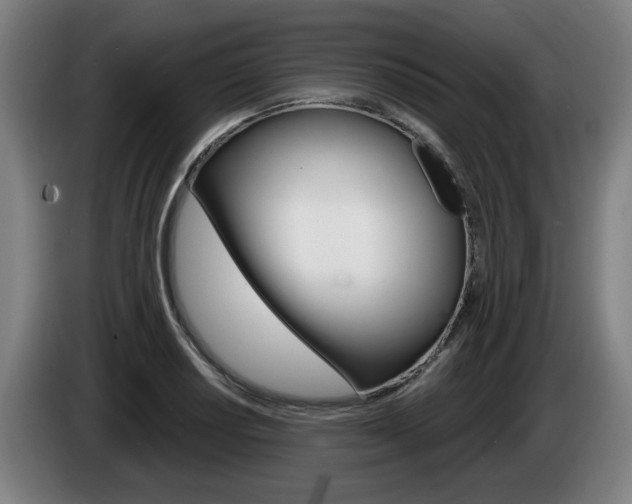 X0000085221034200703090824