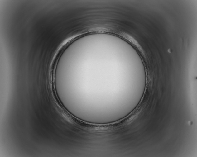 X0000085221035200703090824