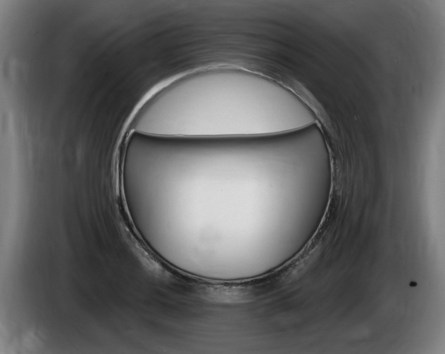 X0000085221036200703090824