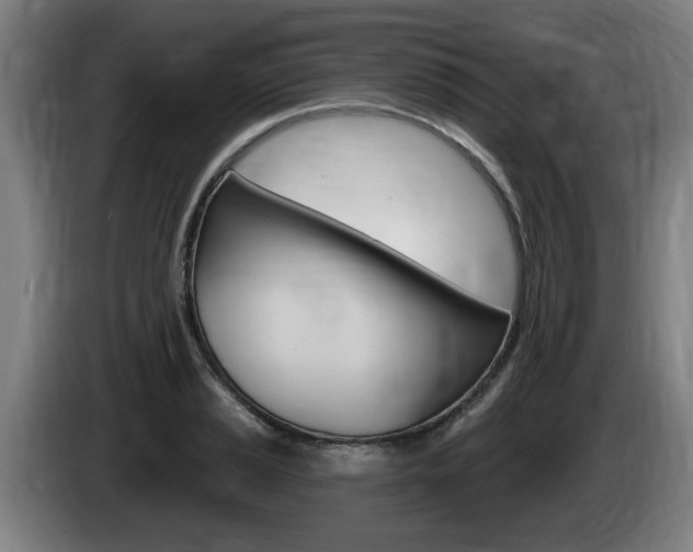 X0000085221037200703090824