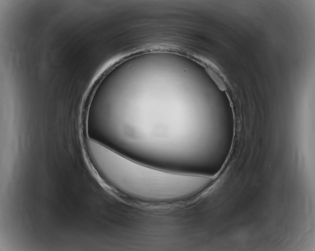 X0000085221038200703090824