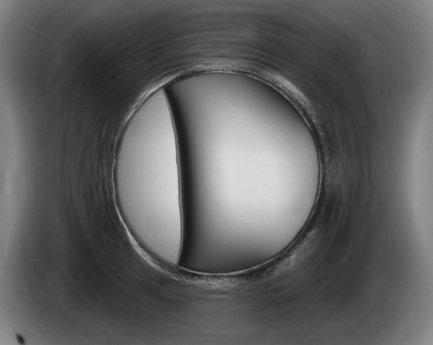 X0000085221041200703090824