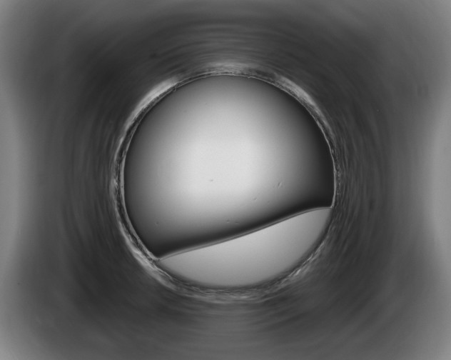 X0000085221042200703090824
