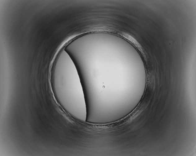 X0000085221043200703090824
