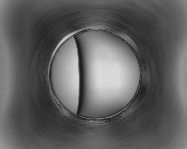 X0000085221044200703090824