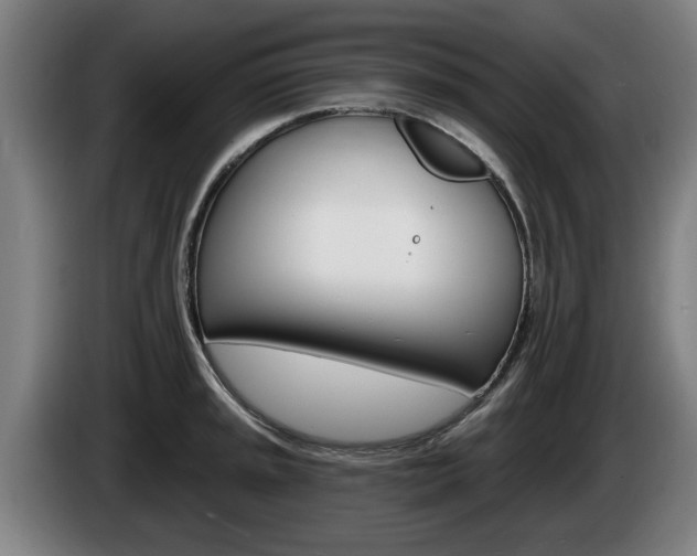 X0000085221045200703090824