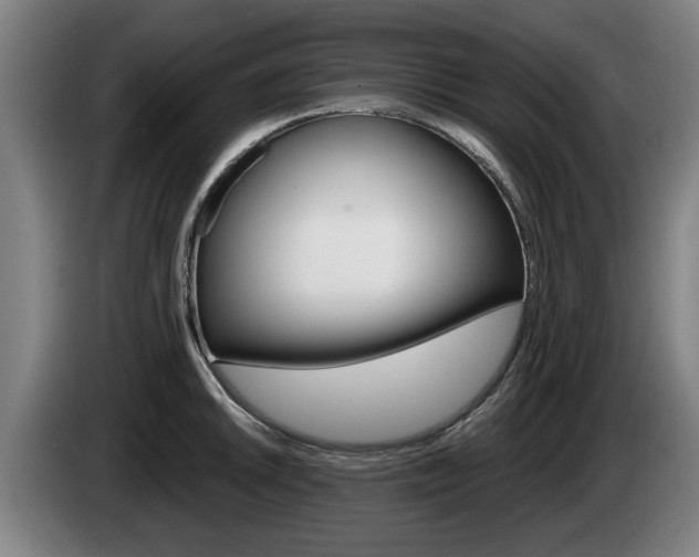 X0000085221046200703090824