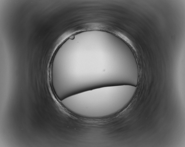 X0000085221047200703090824