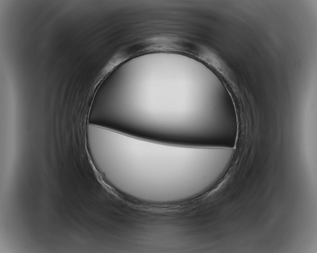 X0000085221049200703090824