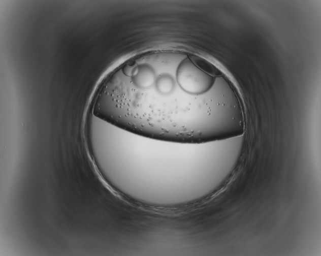 X0000085221053200703090824