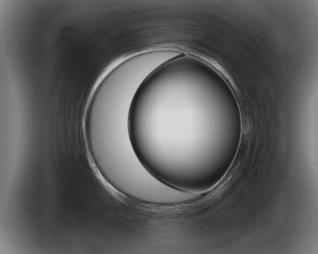 X0000085221054200703090824