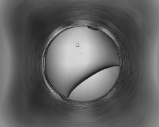 X0000085221055200703090824