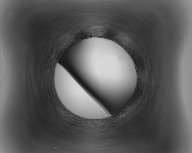 X0000085221058200703090823
