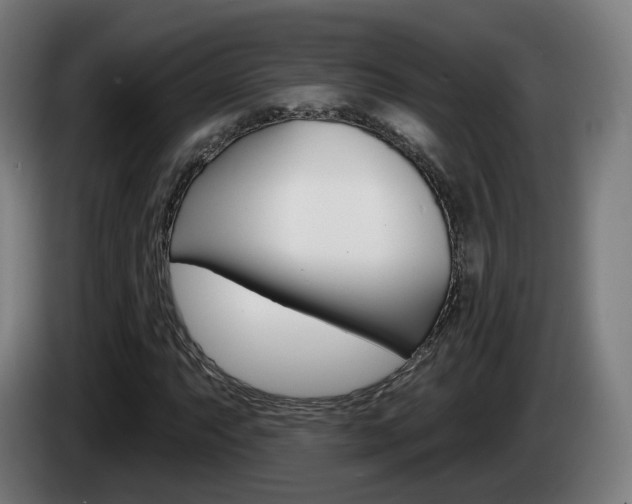 X0000085221063200703090823