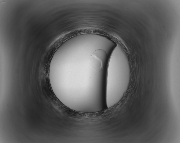 X0000085221064200703090823