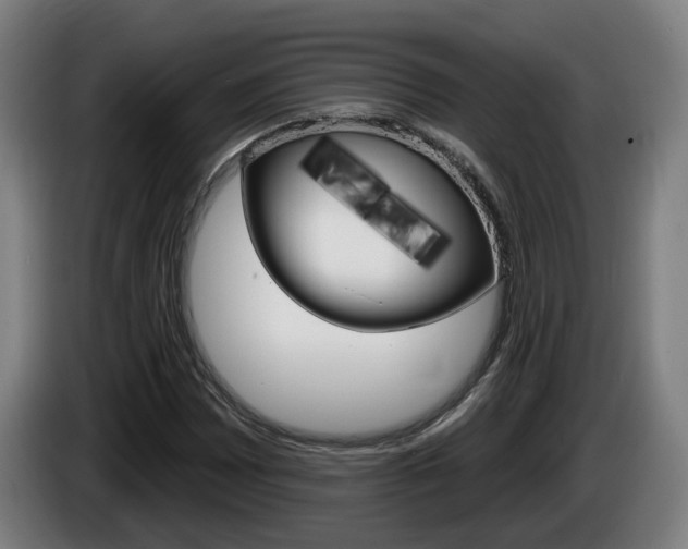 X0000085221065200703090823