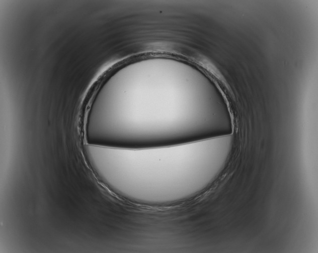 X0000085221068200703090823