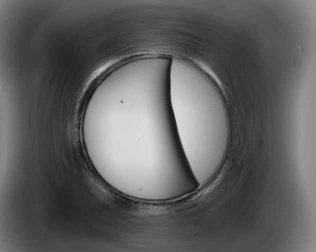 X0000085221071200703090823
