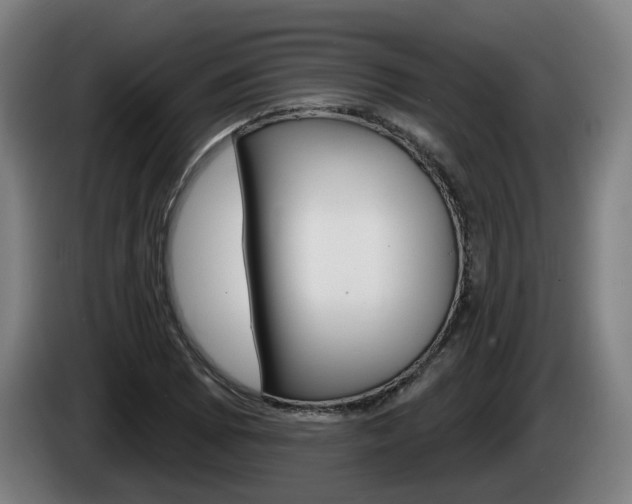 X0000085221073200703090823
