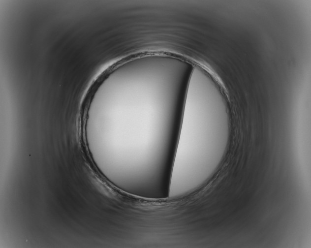 X0000085221076200703090823
