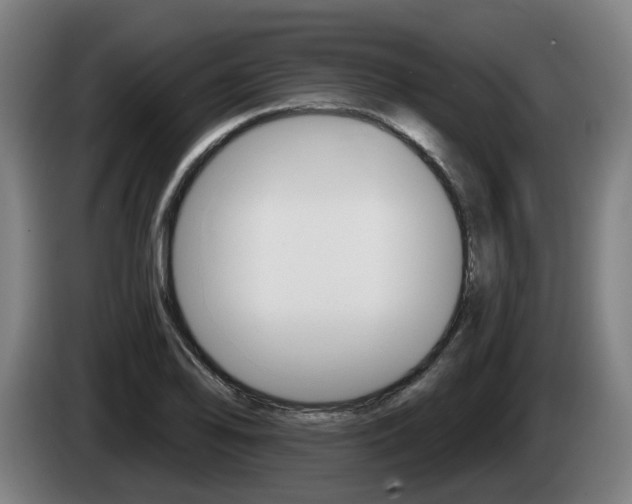 X0000085221078200703090823