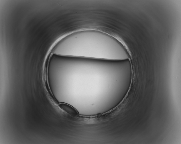X0000085221080200703090823