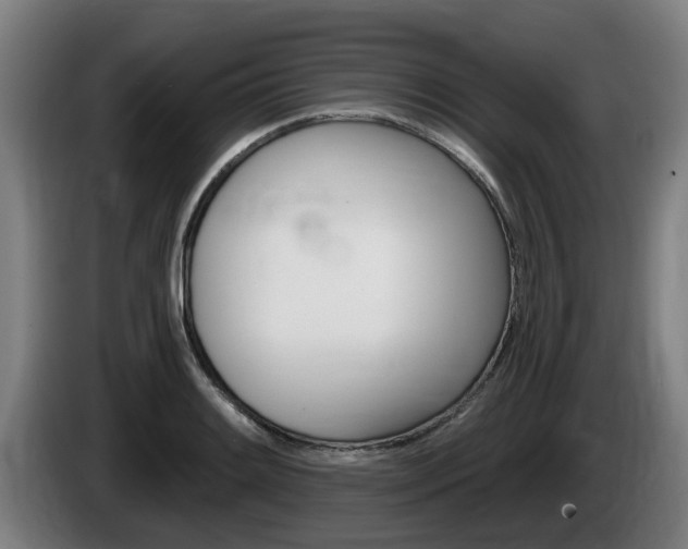 X0000085221084200703090823