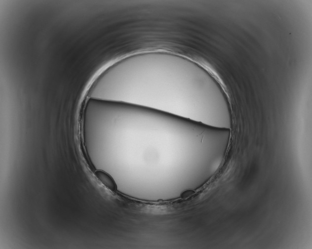 X0000085221088200703090823