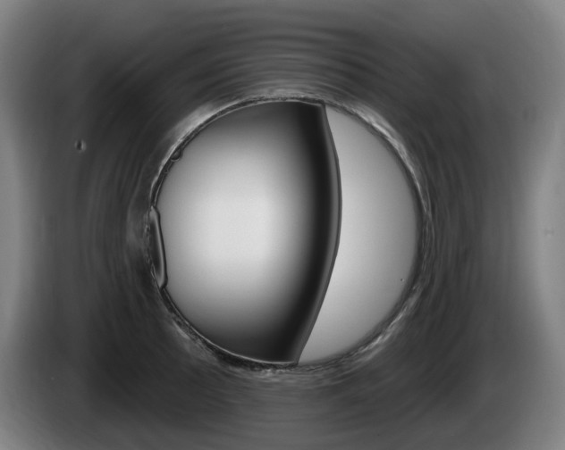 X0000085221089200703090823