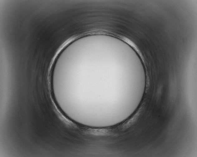 X0000085221090200703090823