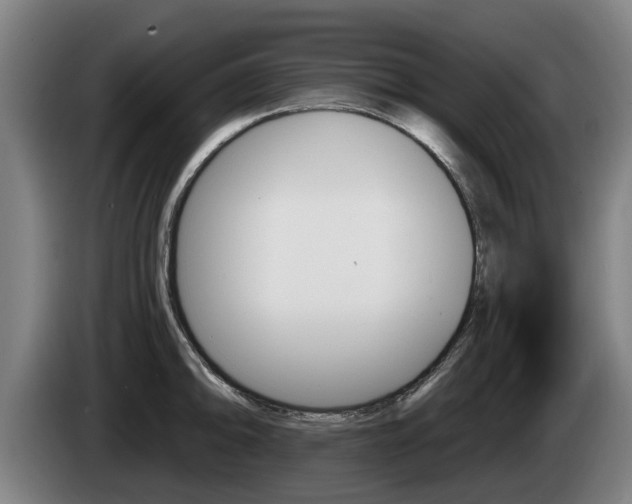 X0000085221094200703090823