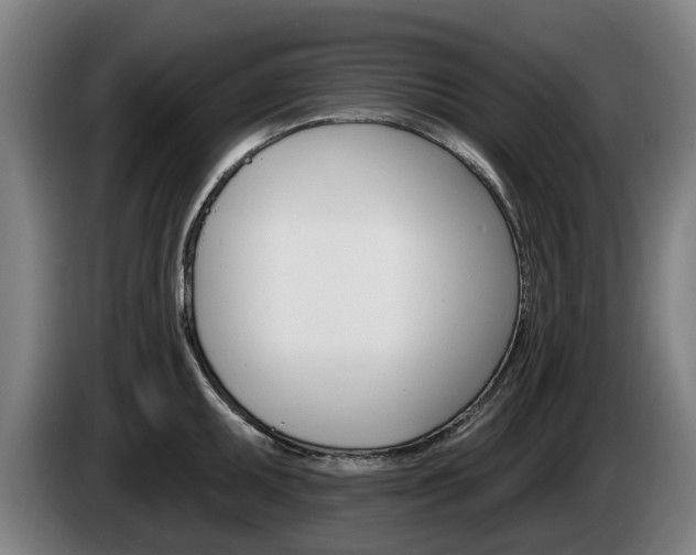 X0000085221095200703090823
