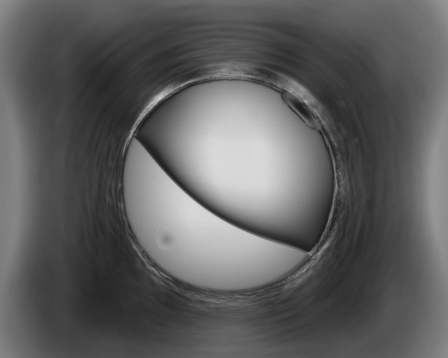 X0000085221097200703090823