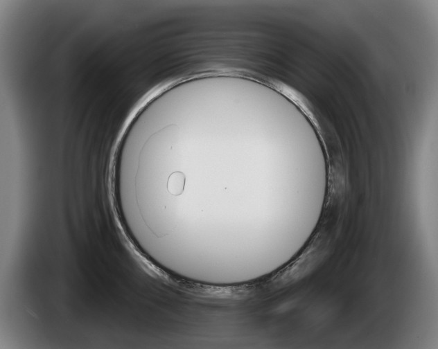 X0000085221098200703090823