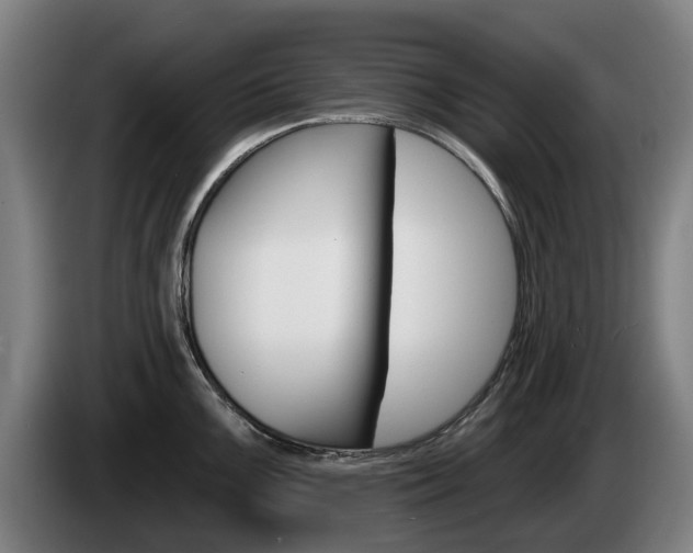 X0000085221099200703090823