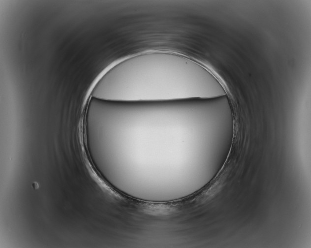 X0000085221100200703090823