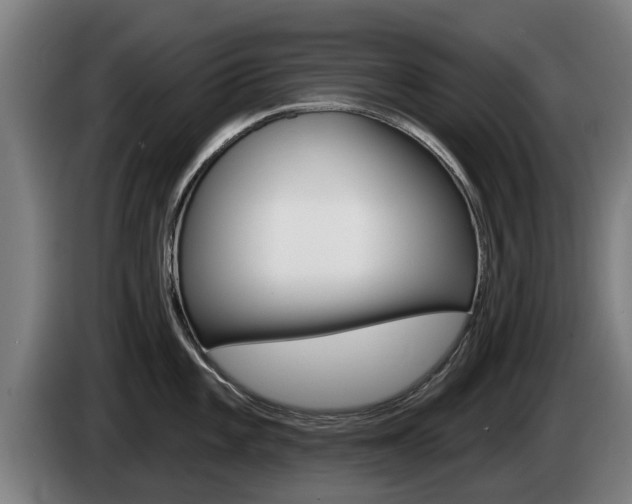 X0000085221101200703090823