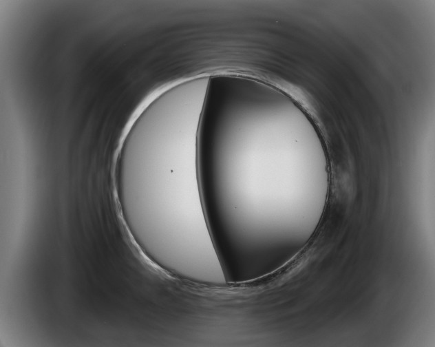 X0000085221102200703090823