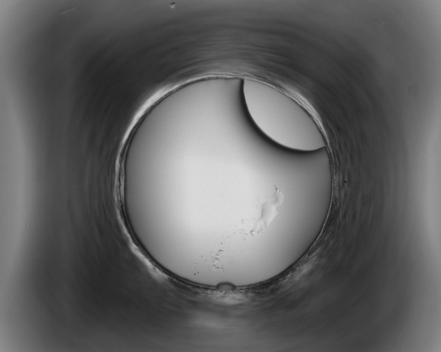 X0000085221103200703090823